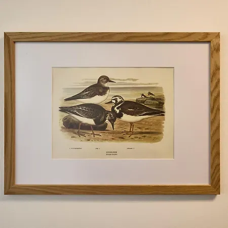 Zuhause In Duhnen - 312 - Steenloper * Cuxhaven